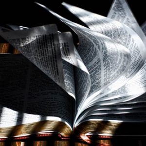 Bibelblogg om myndighet