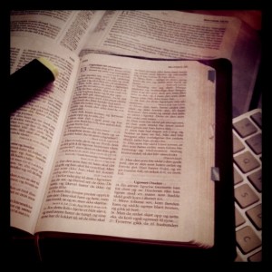 Bibel og studiebibel er ein fin ting!